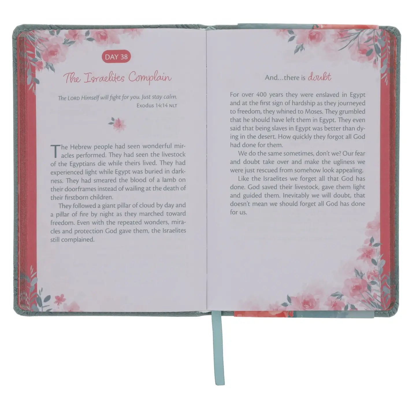 Trusting God's Plan Devotional