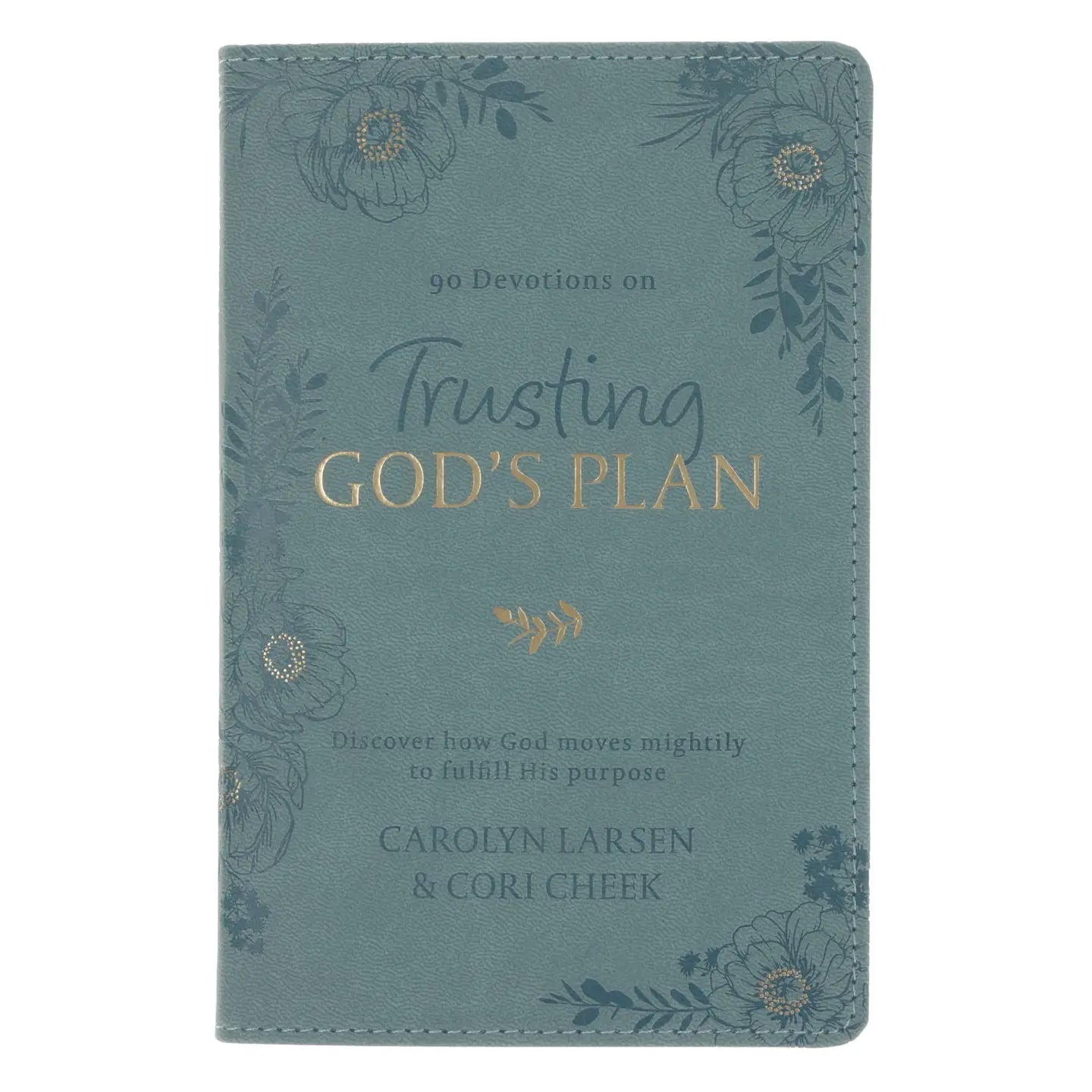 Trusting God's Plan Devotional